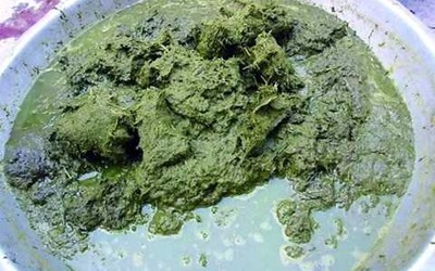 Món ăn "kinh dị nhất thế giới": Lẩu phân bò nặng mùi, thử một lần là nhớ đời