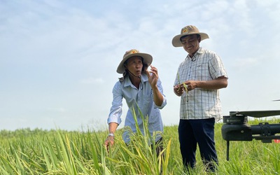 Đổi mới quy định công nhận nông thôn mới giai đoạn 2026-2030
