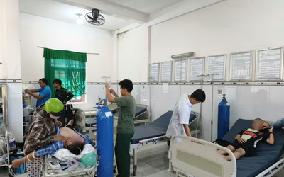 Ba người bị ong đốt khi đi tảo mộ, phải cấp cứu khẩn