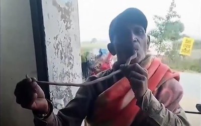 Người đàn ông ngậm đầu rắn hổ mang trong miệng, tử vong khi bị cắn