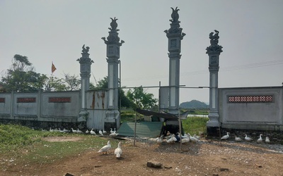 Dự án đền thờ tổ nghề ca trù thành nơi... chăn vịt, chính quyền nói gì?