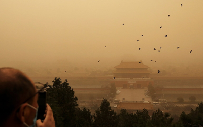 Cứ đêm đến quạ đen kéo kín trời ở Tử Cấm Thành, sự thật khiến ai cũng rợn người