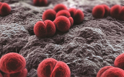 Viêm màng não mô cầu "sát thủ 24 giờ", bác sĩ cảnh báo nguy cơ