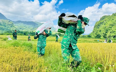 Ảnh: Thấm đẫm tình quân dân trên cánh đồng biên giới