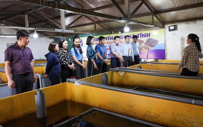 Khởi nghiệp với mô hình nuôi lươn không bùn, người phụ nữ ngồi chờ hái “quả ngọt”