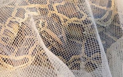 Đang làm vườn, người đàn ông tá hỏa phát hiện “vị khách quý” lẩn dưới gốc cây