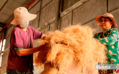 Làng xơ dừa lớn nhất miền Tây tất bật ngày đêm