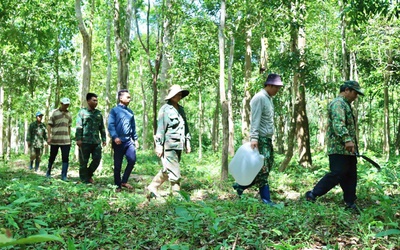Truy quét "thòng lọng tử thần" giữa đại ngàn Tây Nguyên