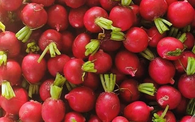 Loại củ được ví như “nhân sâm của người nghèo”, cứ ra chợ là thấy