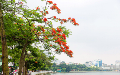 Kí ức niêm thương nhớ