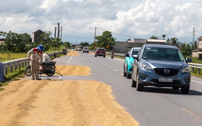 Bắt cóc bỏ đĩa