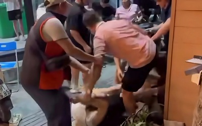 Liên quan hai nhóm nam nữ hỗn chiến trên phố Huế: Khởi tố vụ án để điều tra