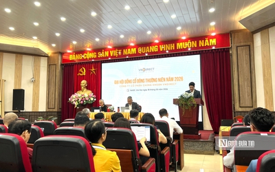 VNDirect đặt mục tiêu lãi kỷ lục 2.414 tỷ đồng, dự kiến phát hành thêm 462 triệu cổ phiếu