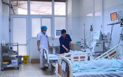 Bị rắn độc cắn khi đang ngủ ban đêm, bé 5 tuổi nguy kịch