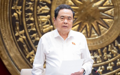 Công tác đại biểu phải thực chất hơn, chuyên nghiệp hơn