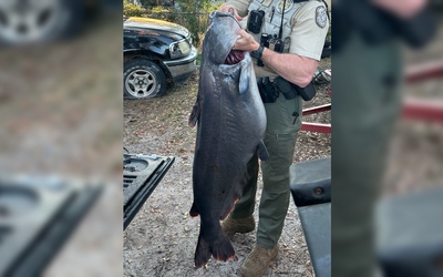 Người đàn ông câu được con cá trê nặng 34,6 kg trên sông