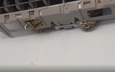Chủ quán cà phê sốc nặng khi nhìn thấy cảnh tượng trong máy điều hòa