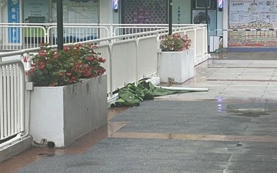 Người đàn ông 61 tuổi tử vong vì rơi lầu chung cư, vợ và con trai bị bắt