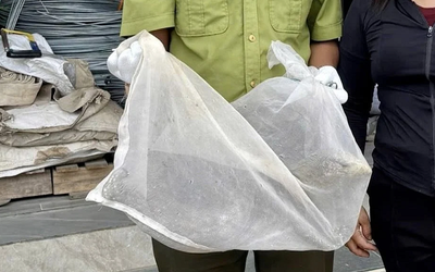 “Vị khách lạ” nặng 5kg đi lạc vào khu dân cư khiến hàng trăm người kéo tới xem