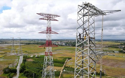 VNECO bác tin tham gia dự án 500kV mạch 3, lên tiếng việc hủy niêm yết bắt buộc