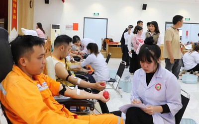 Tuổi trẻ Công ty Điện lực Lâm Đồng sôi nổi phong trào, khẳng định tinh thần xung kích
