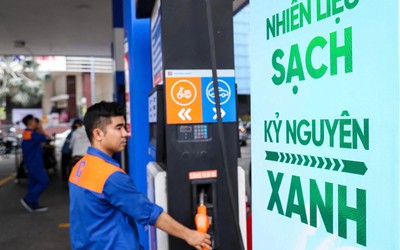 Thứ trưởng Bộ Công Thương: Tất cả loại xe đều phù hợp để sử dụng xăng E10