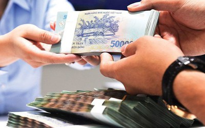 Cứ theo quy định mà làm
