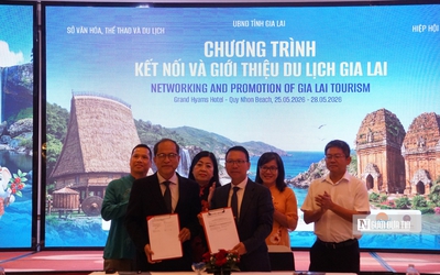 Quy Nhơn đón "cơ hội vàng" từ dòng khách du lịch Úc