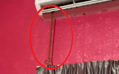 Đang chợp mắt giữa trưa, người đàn phát hiện cảnh tượng "đáng sợ" ngay trong nhà