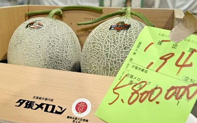 Hai quả dưa lưới được bán với giá gần 1 tỷ đồng