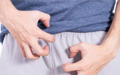 Bị con vật "quen thuộc" trong vườn đốt chân, người đàn ông nguy kịch