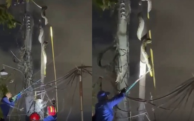 Nhìn lên cột điện, người dân bắt gặp cảnh tượng bất ngờ