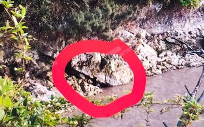 Bé trai 6 tuổi suýt mất mạng trong khi cha mẹ mải mê chụp ảnh