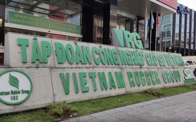 GVR báo lãi kỷ lục quý I/2026, mảng cao su tiếp tục dẫn dắt tăng trưởng