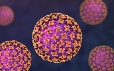 3 người vừa tử vong vì hantavirus: Loại virus "tấn công phổi" nguy hiểm ra sao?