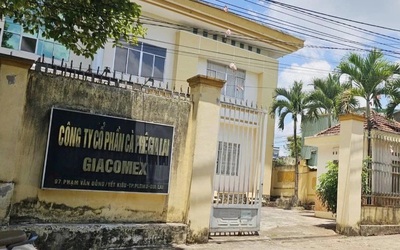 Phát hiện sai phạm trong cổ phần hóa công ty cà phê, kiến nghị chuyển hồ sơ sang công an