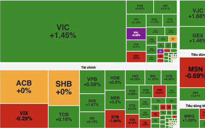 Dòng tiền lan tỏa, VN-Index tăng hơn 10 điểm nhờ nhóm bất động sản và tài chính