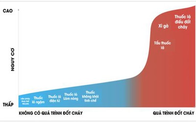 Sự dịch chuyển của thị trường nicotine và quá trình thích nghi của chính sách