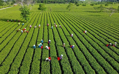 “Đánh thức” tiềm năng phát triển kinh tế ở xã Sơn Kim 2