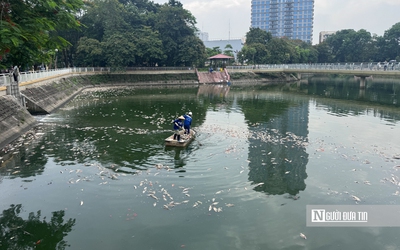 Hà Nội: Cá chết nổi trắng hồ Nghĩa Đô