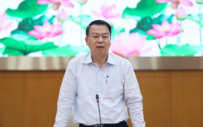 Thứ trưởng Tài chính lý giải nguyên nhân nhập siêu tăng vọt hơn 15 tỷ USD