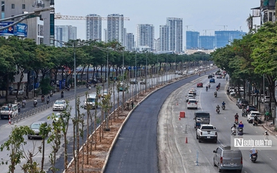 Hà Nội: Cận cảnh hàng cây xanh vừa trồng đã sắp bị thay trên đường Võ Chí Công