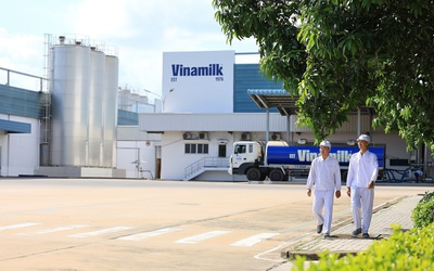 Vinamilk: 3 năm liên tiếp là doanh nghiệp sữa duy nhất của Việt Nam trong Fortune 500 Đông Nam Á
