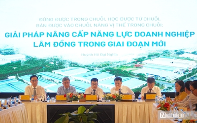 Lâm Đồng hướng tới nâng cao sức cạnh tranh doanh nghiệp, phát triển kinh tế tư nhân bền vững
