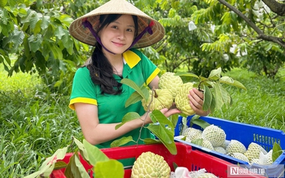 Cơ hội và thách thức khi đưa nông sản lên sàn thương mại điện tử
