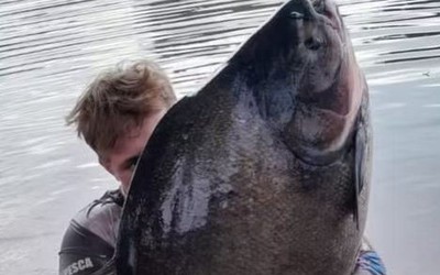 Ngư dân câu được con cá khổng lồ nặng hơn 40kg trên sông