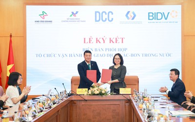 BIDV phối hợp tổ chức vận hành sàn giao dịch Các-bon trong nước