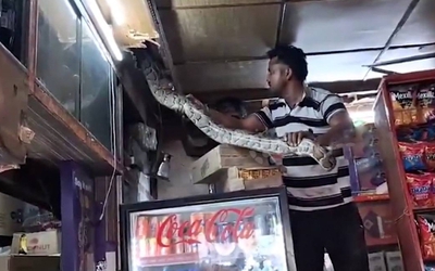 Thấy thứ đáng sợ trên trần nhà, chủ cửa hàng sợ hãi bỏ chạy