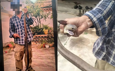 Bị rắn hổ mang cắn vào tay vẫn chụp ảnh, người đàn ông 58 tuổi có trải nghiệm nhớ đời