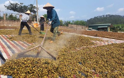 Quảng Ninh: Giữ vững đà tăng trưởng ngành nông nghiệp